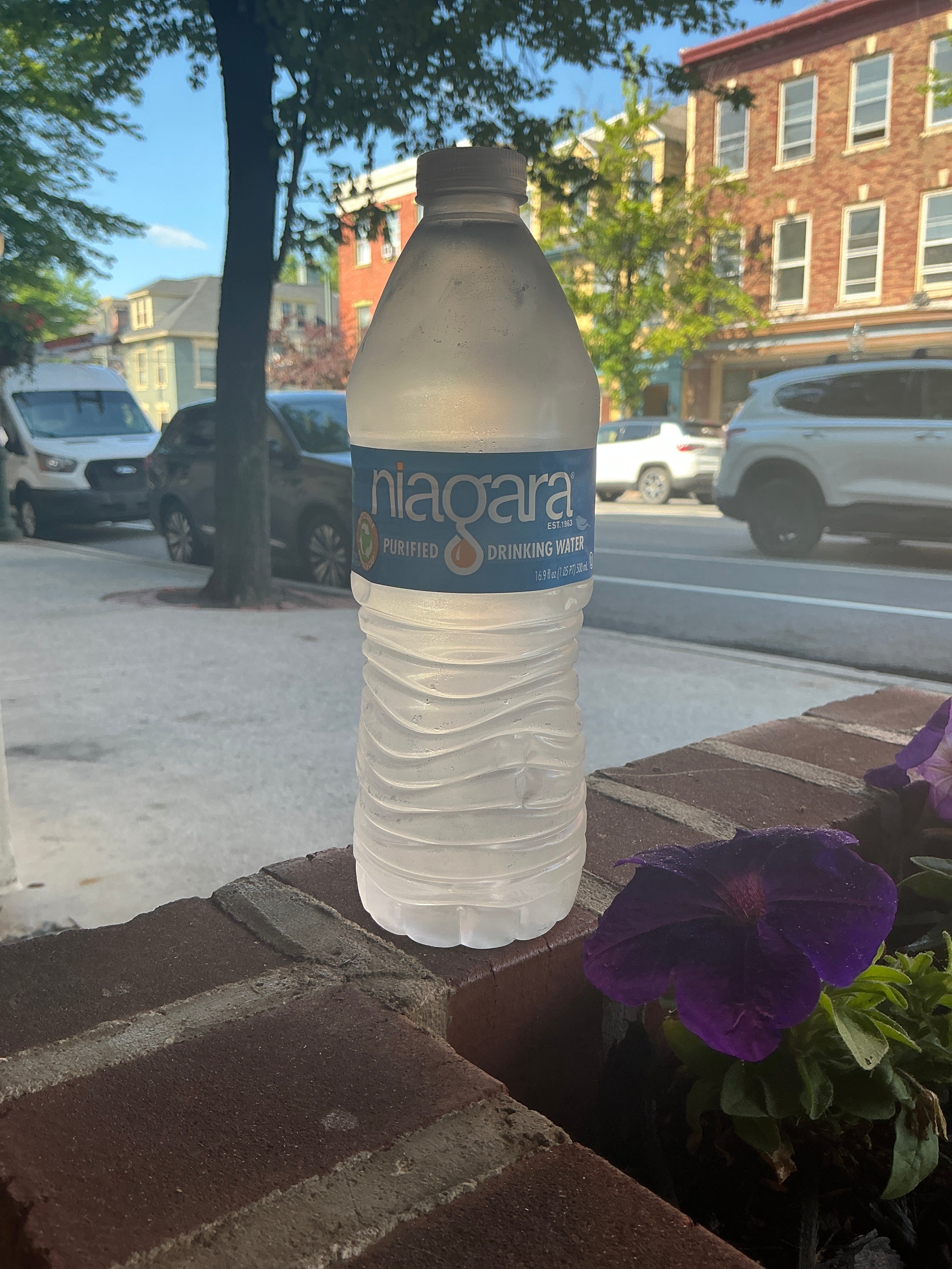 Water