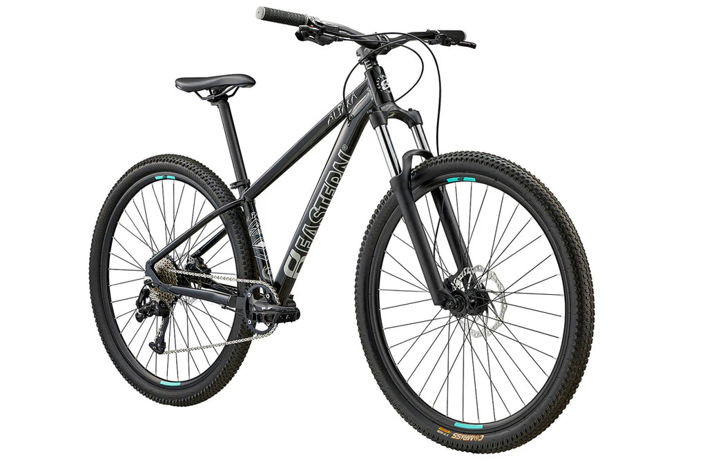 19” Eastern Alpaka Mountain Bike