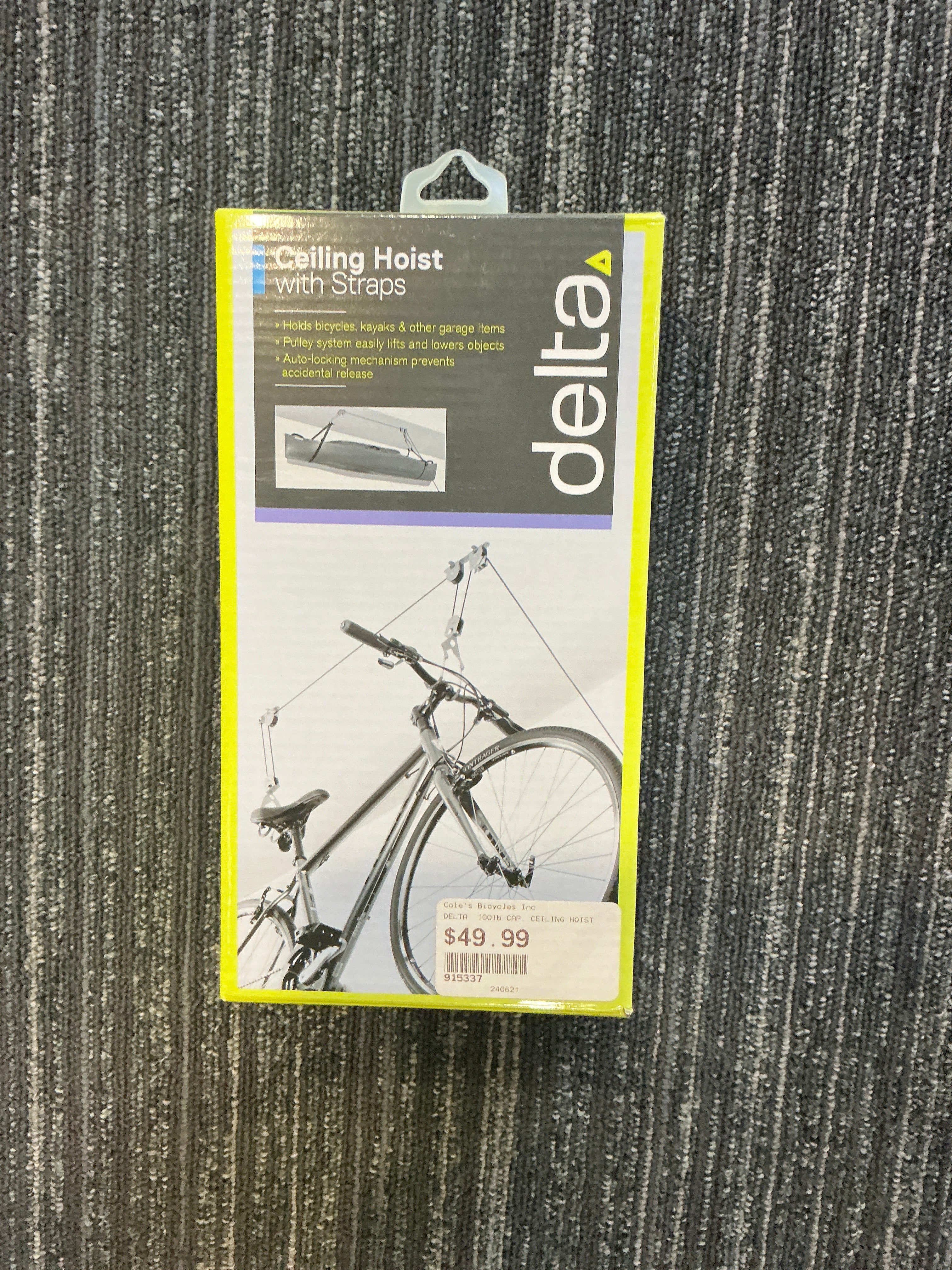 DELTA 100LB CAP. CEILING HOIST