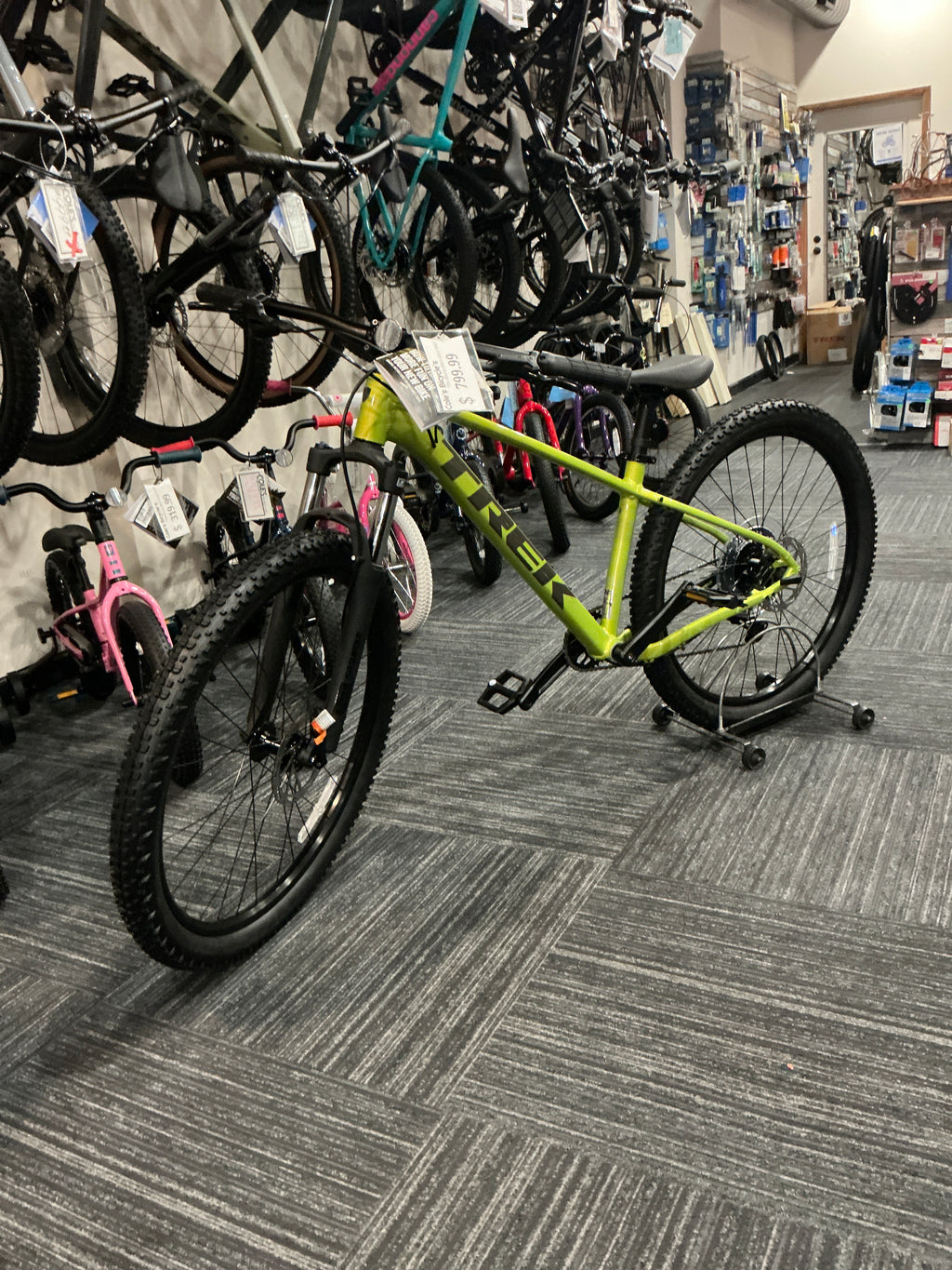 TREK/MARLIN 5 POWER SURGE