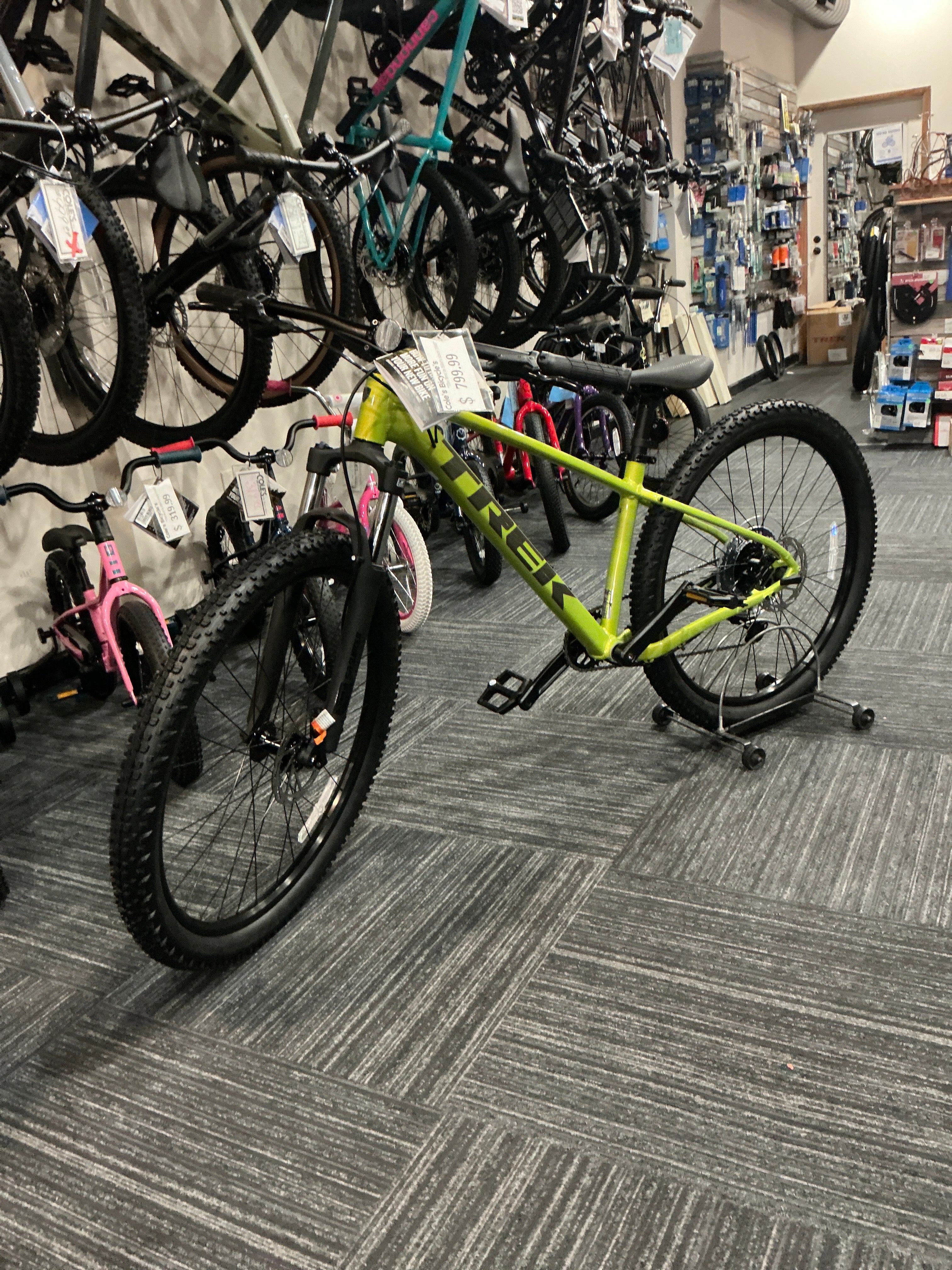 TREK/MARLIN 5 POWER SURGE