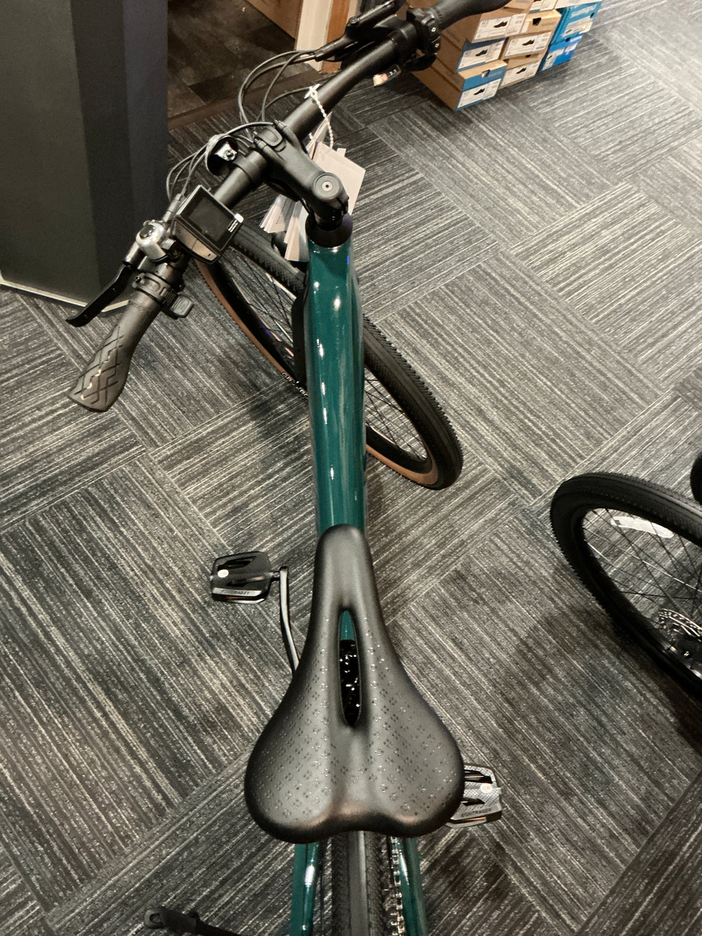TREK FX+MS TRT GN