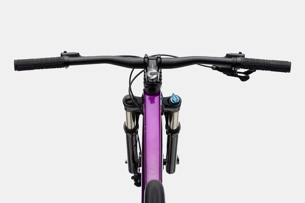 Cannondale Trail SE 4