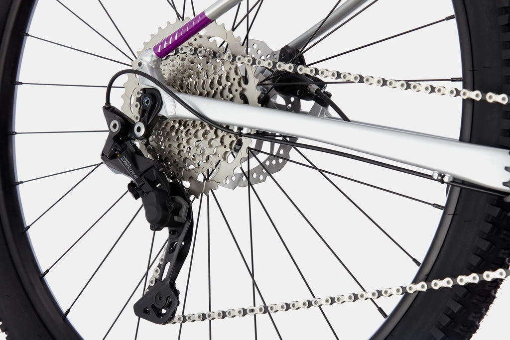 Cannondale Trail SE 4