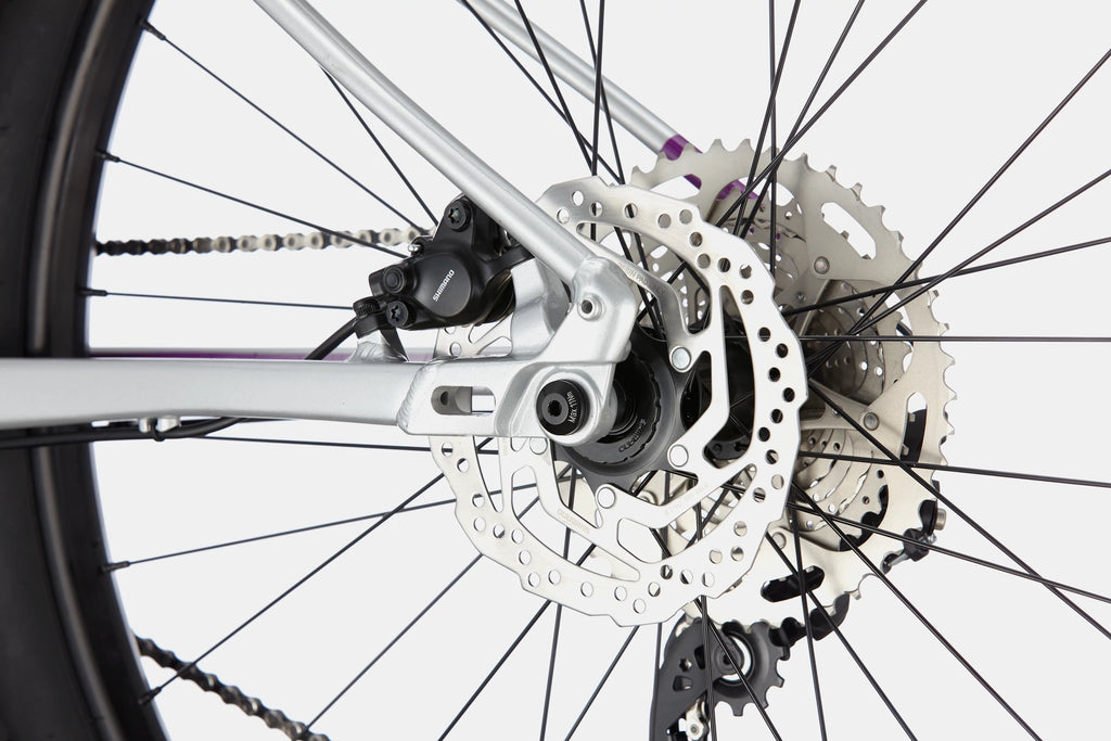 Cannondale Trail SE 4
