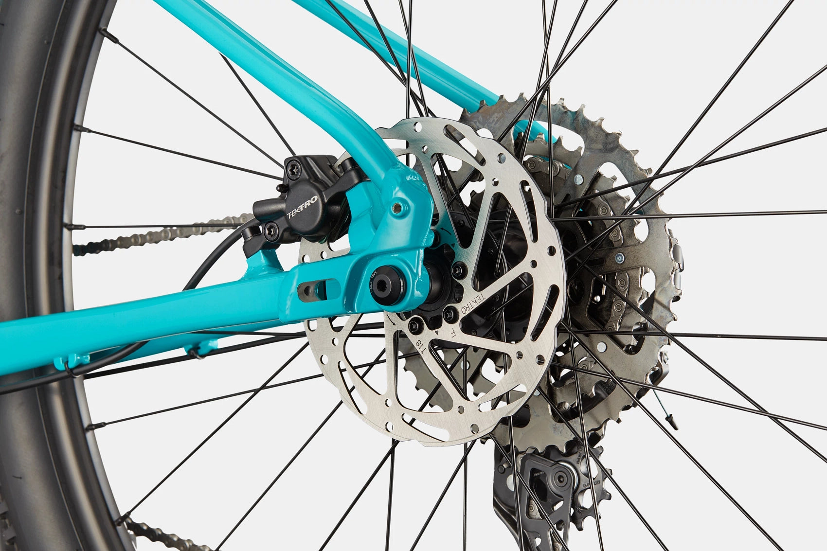 Cannondale Trail 2
