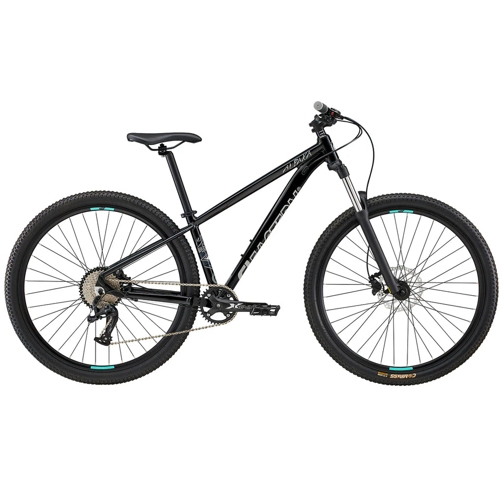19” Eastern Alpaka Mountain Bike