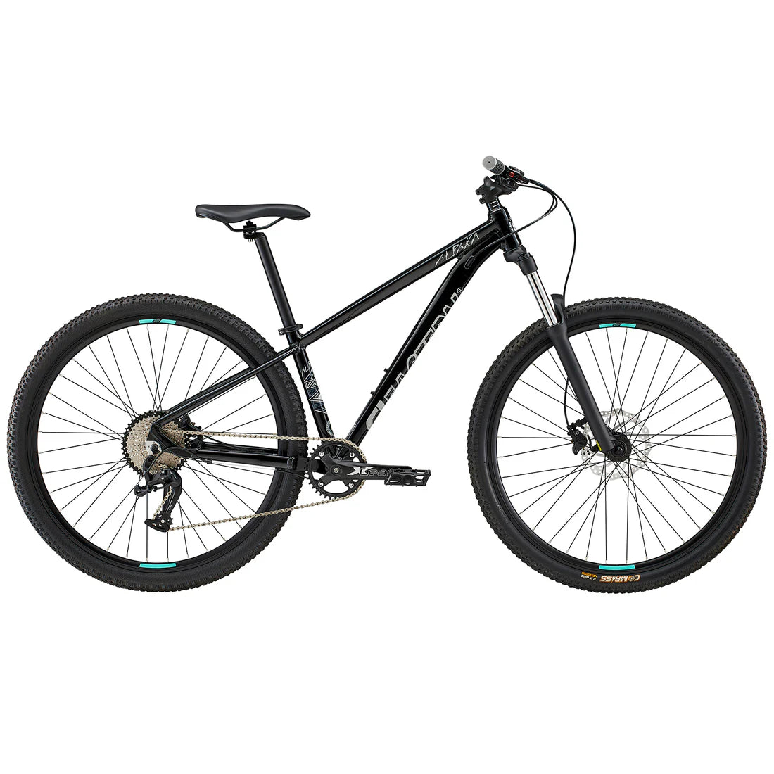 19” Eastern Alpaka Mountain Bike