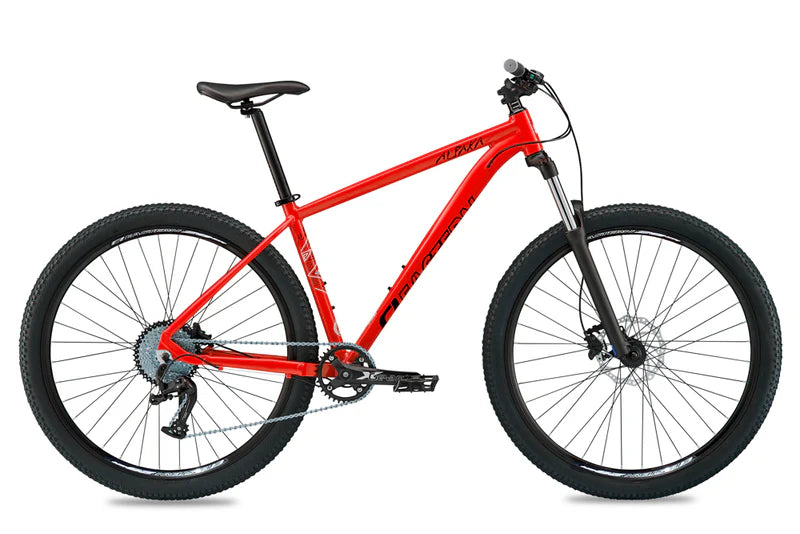17” Eastern Alpaka Mountain Bike