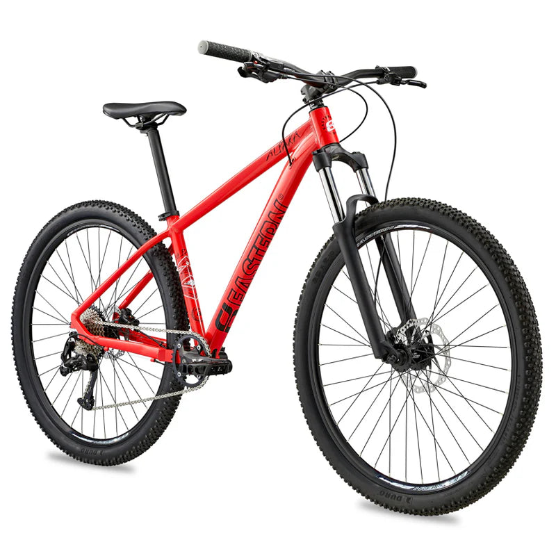 17” Eastern Alpaka Mountain Bike